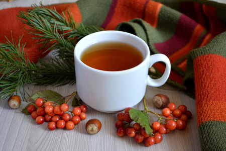 A Cup of hot tea, berry, fir branch on the table. Autumn or winter warming drink. Autumn conceptの写真素材
