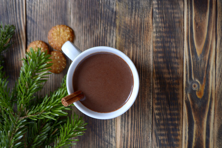 Hot chocolate or cocoa with cinnamon stick in a cup and fir branches. Winter hot drink for cold weather. New year and Christmas concept Top view Copy spaceの写真素材