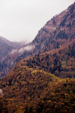 Autumn in the mountains. Colorful leaves on the trees. Beautiful autumn landscapeの写真素材