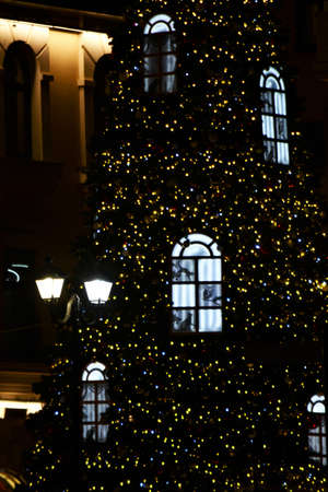 Golden christmas lights blur backgroundの写真素材