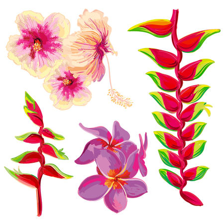Bright beautiful tropical flowers isolated on white background. Vector illustration.のイラスト素材