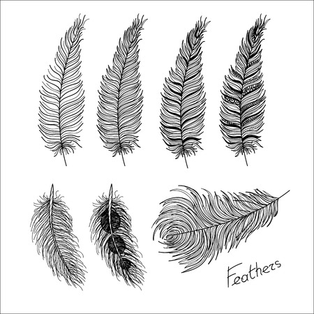 Hand drawn bird feathers closeup isolated on white background set. Boho style. Vector illustration.のイラスト素材