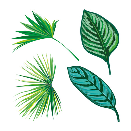 Tropical Leaves Collection on isolate vector. Beautiful Set. Vector illustration.のイラスト素材