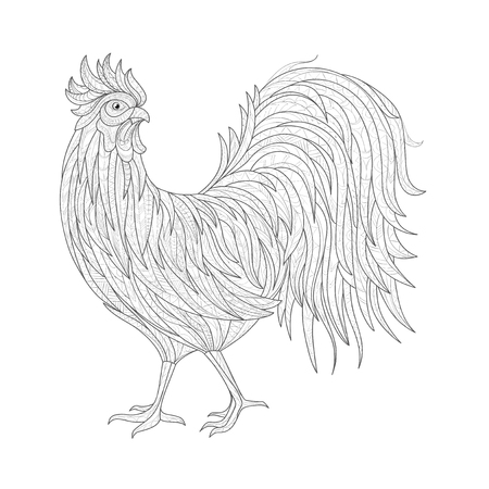Hand drawn doodle outline rooster illustration. Decorative outline hand drawn in style. Sketch for adult antistress coloring page. symbol of the 2017 yearのイラスト素材