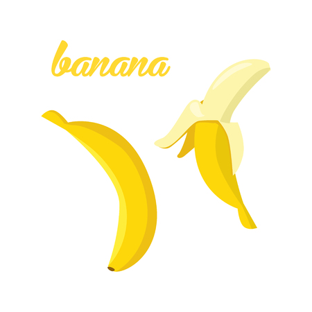 Banana fruits poster in cartoon style. depicting whole and half. fresh juicy. isolated on white background including caption Banana. Vector illustration.のイラスト素材
