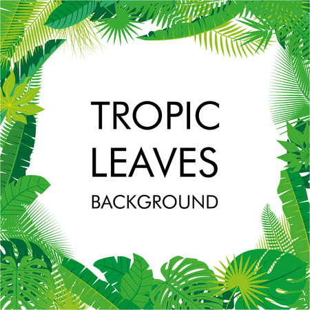 Tropical Leaves background, isolate vector. Abstract Illustration with differrent Tropical foliage with place for your text. Vector illustration.のイラスト素材
