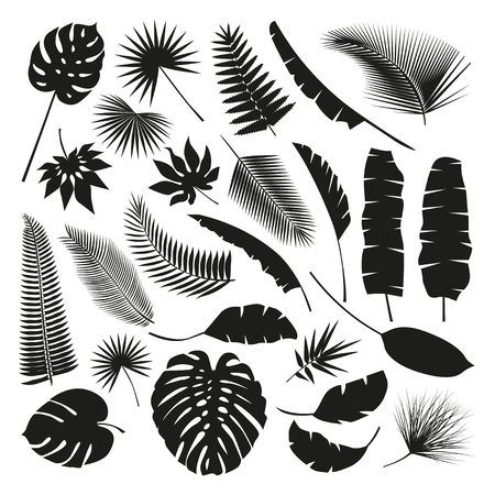 Black Tropical Leaves Collection, isolate vector. Beautiful Set. Vector illustration.のイラスト素材