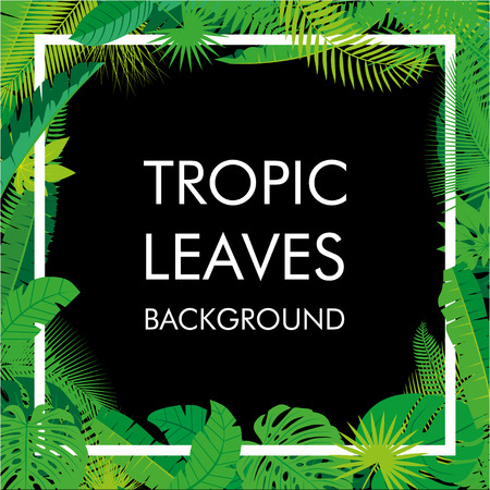 Tropical Leaves background, isolate vector. Abstract Illustration with differrent Tropical foliage with place for your text. Vector illustration.のイラスト素材