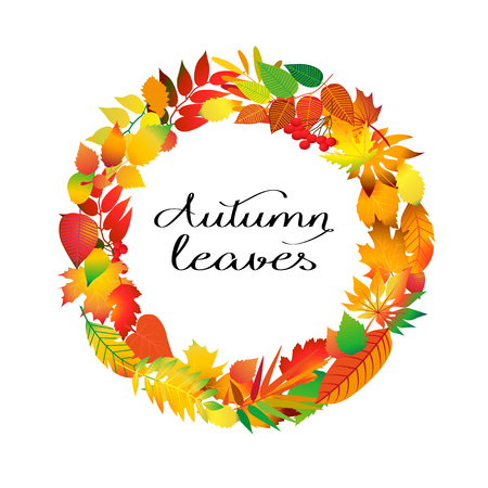 Autumnal round frame. Wreath of autumn leaves. Background with beautiful autumn leaves. Fall of the leaves. Isolated design elements. Vector illustration.のイラスト素材