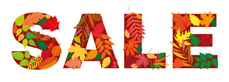 Autumn leaf inscription sale. Isolated design elements. Vector illustration. Hello new sale season. Background with beautiful autumn leaves. Isolated design elements.のイラスト素材