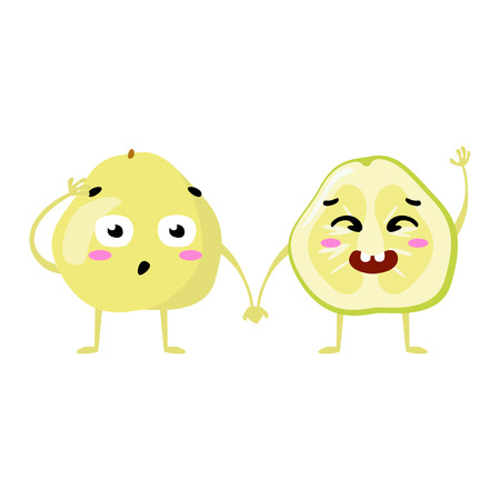 pomelo. Cute fruit vector character couple isolated on white background. Funny emoticons faces. Vector illustration. Vector clip art.のイラスト素材