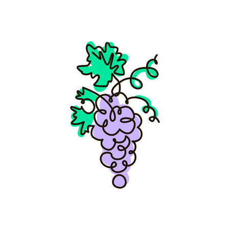 Vector Line icon. Grape. One line drawing. Isolated on white background. Continuous single one drawn lineのイラスト素材