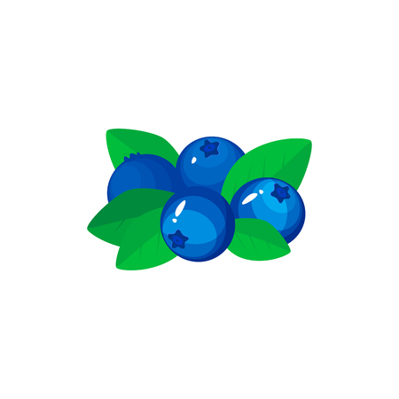 blueberry isolated on white background. Bright vector illustration of colorful half and whole of juicy bilberry. Fresh cartoonのイラスト素材