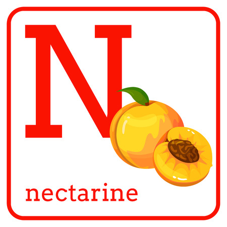 An alphabet with cute fruits, letters A to Z. Cartoon vector alphabet isolated on a white background. Letter N nectarineのイラスト素材