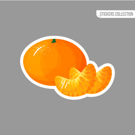 tangerine sticker isolated on white background. Bright vector illustration of colorful half and whole of juicy mandarin. Fresh cartoonのイラスト素材