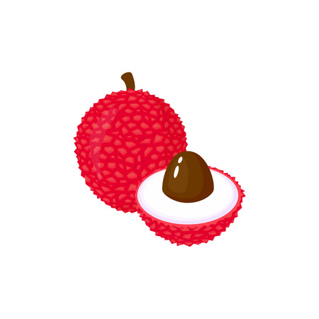 Lychee isolated on white background. Bright vector illustration of colorful half and whole of juicy Lychee. Fresh cartoonのイラスト素材
