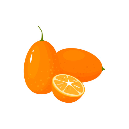 kumquat isolated on white background. Bright vector illustration of colorful half and whole of juicy kumquat. Fresh cartoonのイラスト素材