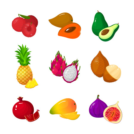 Tropical exotic Fruits set isolated on white background. Half and whole of juicy fruits. Cartoon flat icon collection. Yumberries, zapote, avocado, pineapple, dragon, salak, pomegranate, mango, figのイラスト素材