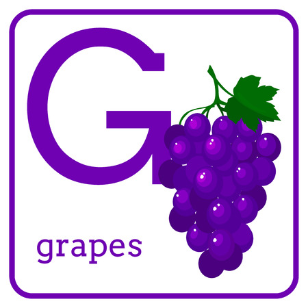 An alphabet with cute fruits, letters A to Z. Cartoon vector alphabet isolated on a white background. Letter G grapesのイラスト素材