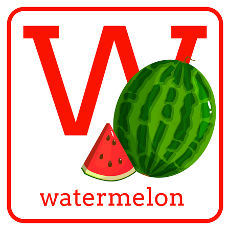 An alphabet with cute fruits, letters A to Z. Cartoon vector alphabet isolated on a white background. Letter W watermelonのイラスト素材