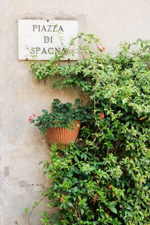 Beautiful floral wall in Piazza di Spagna street in Pienza in Tuscany, Italyの写真素材
