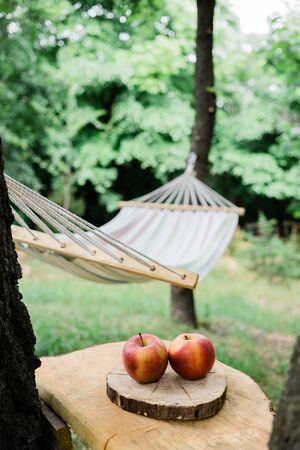 Cradle net in the backyard by the forestの写真素材
