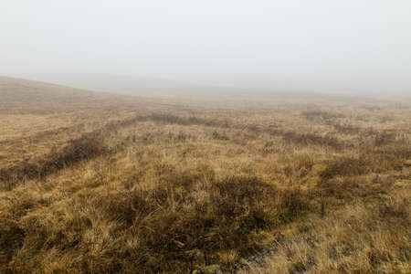View of the misty meadow in the winter morningの写真素材