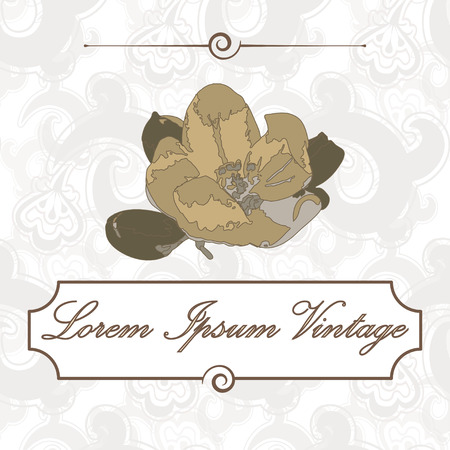 Vintage vector sepia apple flower of  isolated on pattern background and frame for text.のイラスト素材