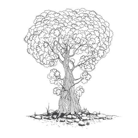 Sketch of one trees. Vector drawing illustrationのイラスト素材
