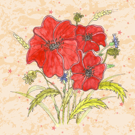 Red Poppy flowers. Hand drawn Vector Illustrationのイラスト素材