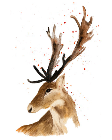 Deer head with red balls isolated on white background, vector watercolor illustration for t-shirt, textile, wallpaper, background for packagingのイラスト素材