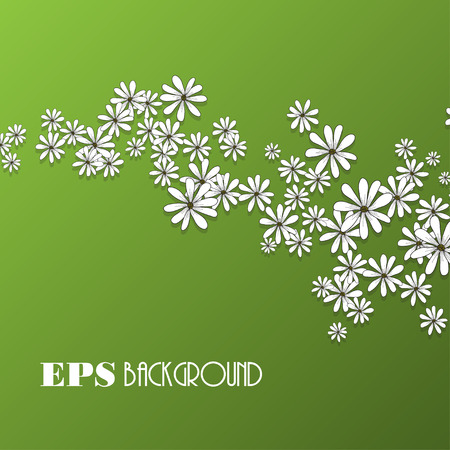 Spring design of card with flowers chamomiles and shadow on the green background. vector spring flower banner,spring flower card, invitation card and otherのイラスト素材