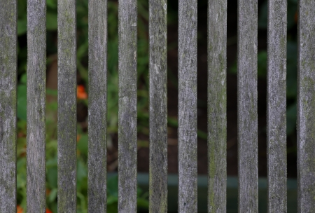 Old Small Wooden Fence, grey and greenの写真素材