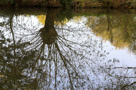 Trees reflected in river at autumn sunny day Oxford University Parks, fall landscape with colorful foliage, beautiful backgroundの写真素材