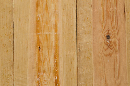 Pine wood plank texture light brown with knots and resin wall natural grain pattern backgroundの写真素材