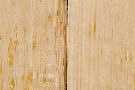 Pine wood plank texture light brown with knots and resin wall natural grain pattern backgroundの写真素材