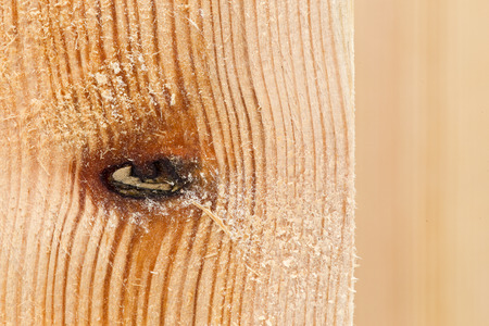 Pine wood plank texture light brown with knots and resin wall natural grain pattern backgroundの写真素材