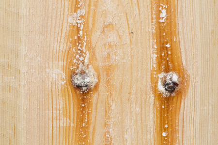 Pine wood plank texture light brown with knots and resin wall natural grain pattern backgroundの写真素材