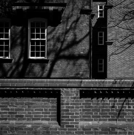 Brick buildings large fence and white windows in shadow with sun spots on walls, tree branchesの写真素材