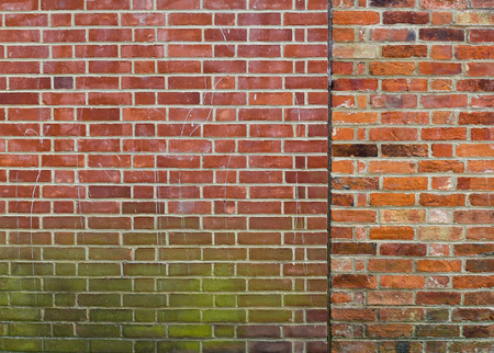 Background of two brick walls with gap between and green moss textureの写真素材