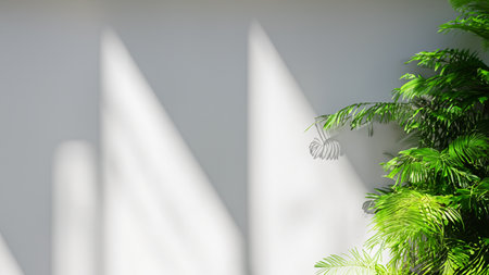 3d render of a white wall with shadow and tropical plants.の写真素材