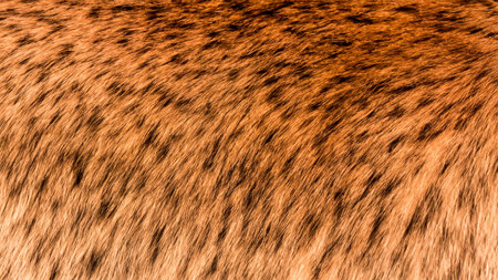 Close-Up of Short Coarse Dog Fur Texture Backgroundの写真素材