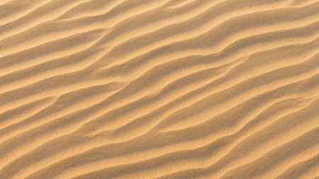 Sunlit Sand Texture with Soft Waves on Sandy Beach - Top View