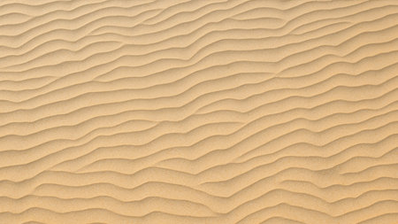 Soft Wavy Sand Texture with Sunlit Ripples on Beach - Top View