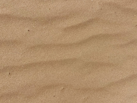 Wind-Sculpted Sand Ripples Texture Close-Up from Dutch Coastal Dunes, Backgroundの写真素材