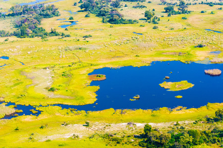 Aerial view at picturesque view of Okavango Delta, Botswana.の写真素材
