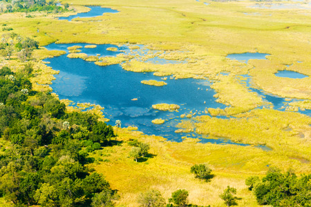 Aerial view at picturesque view of Okavango Delta, Botswana.の写真素材