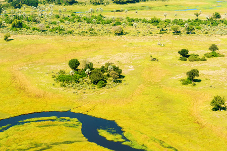 Aerial view at picturesque view of Okavango Delta, Botswana.の写真素材