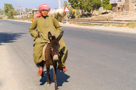 Luxor, Egypt - January 16, 2015: Man in traditional dress is riding the donkey on the street in Luxor, Egypt.のeditorial素材