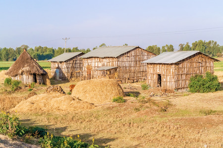 Farmers houses near Hamusit in Ethiopiaの写真素材